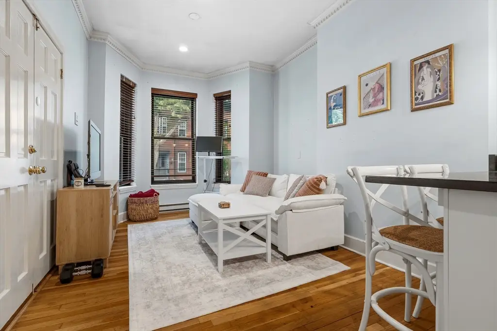 290 K St #2, Boston, MA 02127 - #1
