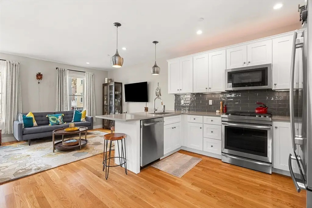 178 Thornton St #1, Boston, MA 02119 - #1