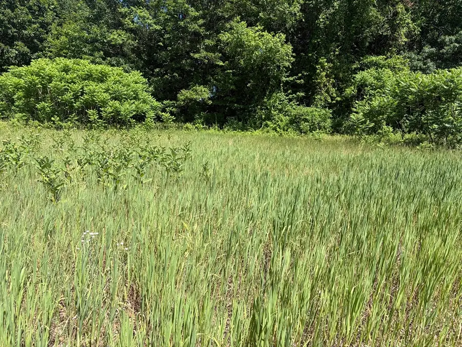0 Straits Road, Hatfield, MA 01038 - #2