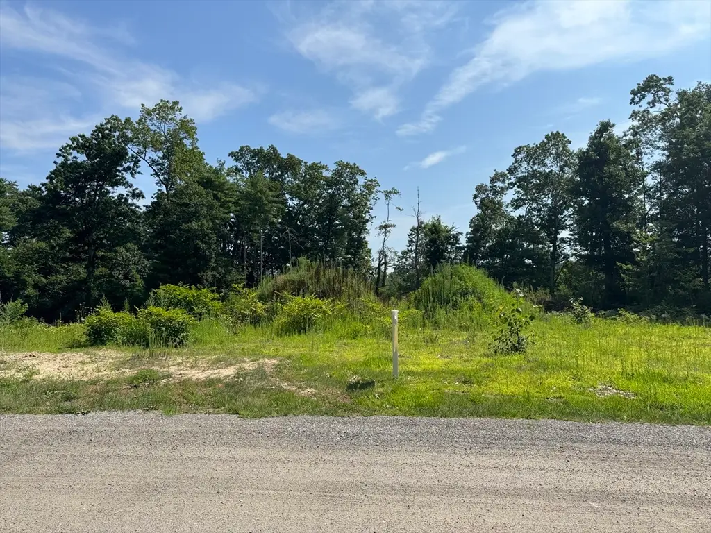 91 Snow St, Hanson, MA 02341 - #1