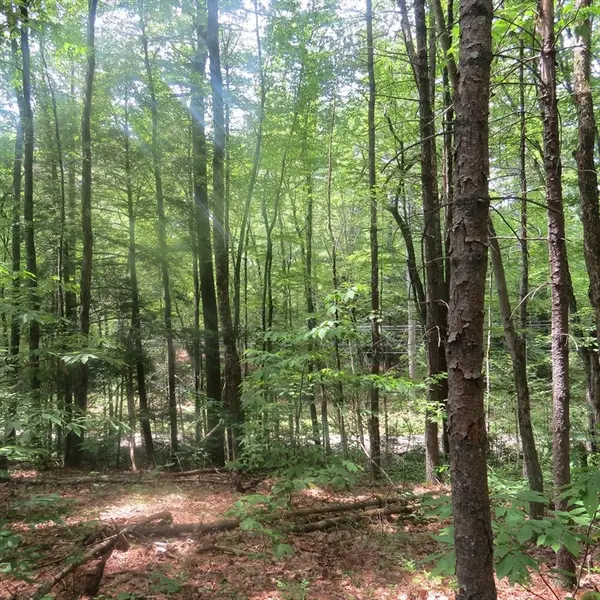 Lot 1 Pratt Corner Road, Leverett, MA 01054