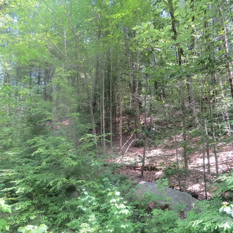 Lot 1 Pratt Corner Road, Leverett, MA 01054 - #3