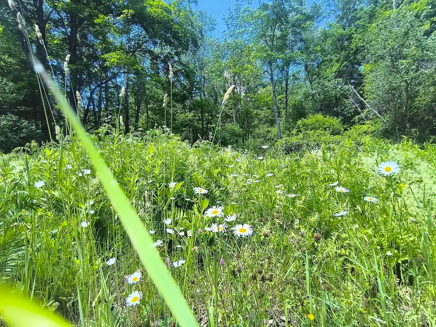 0 Brown Hill Road, Worthington, MA 01098 - #3