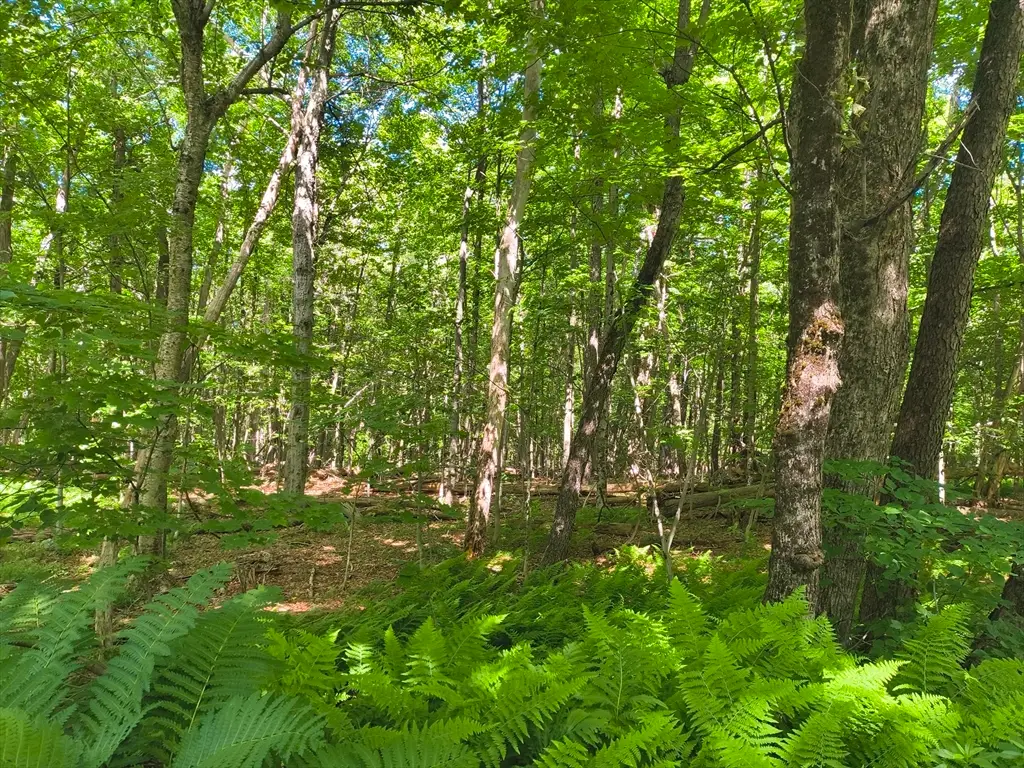 lot 2 Holcomb Road, Chester, MA 01011 - #1