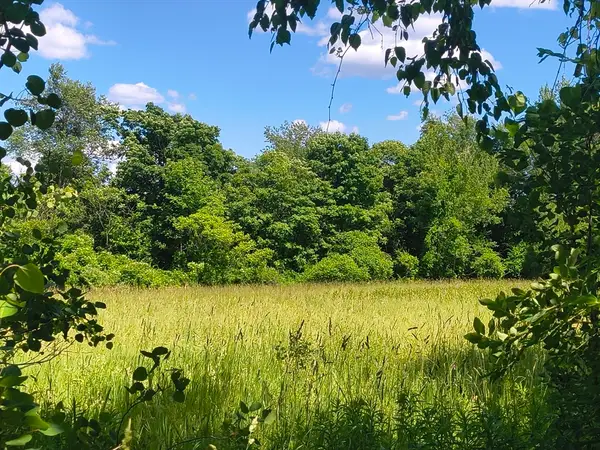 lot 4 Holcomb Road, Chester, MA 01011