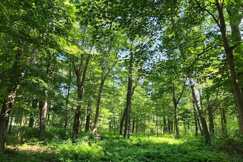 125 Topsfield Rd, Ipswich, MA 01938 - #1