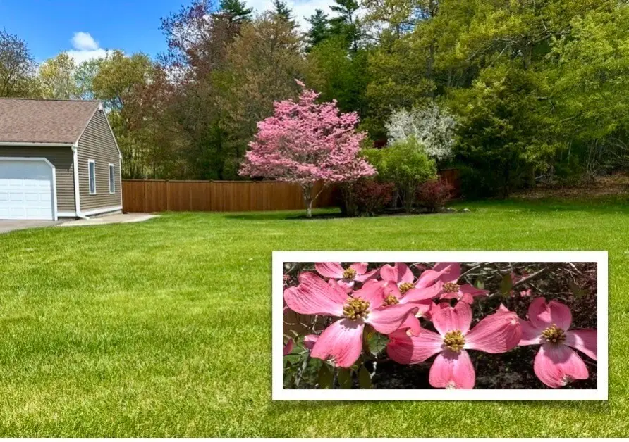 1 Hawthorne St, Lakeville, MA 02347 - #2