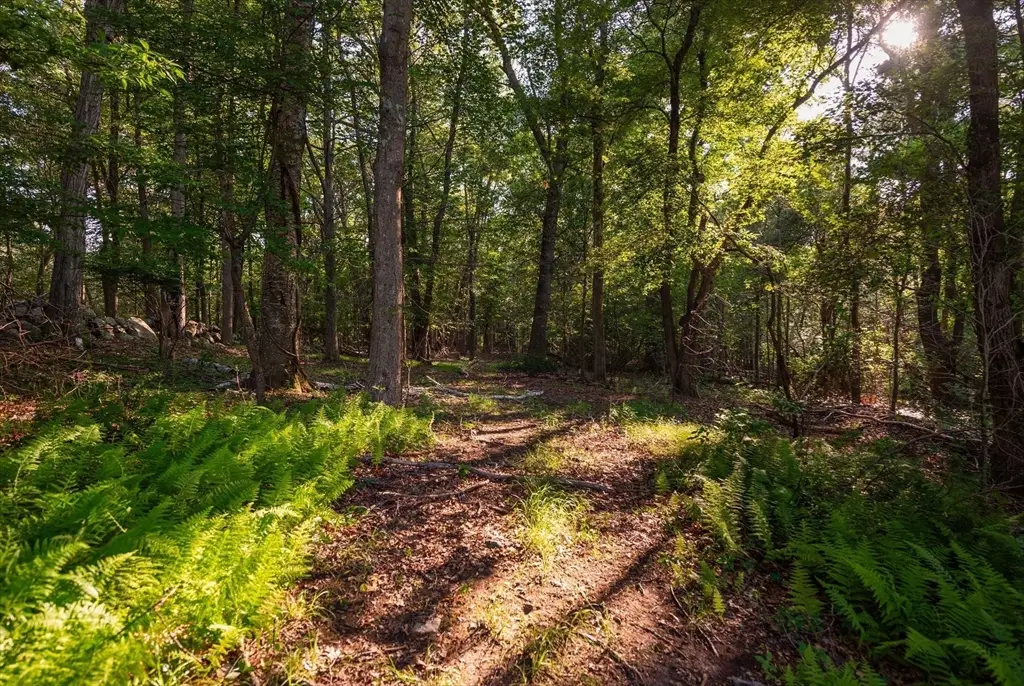 0 Belcher St, Essex, MA 01929 - #1