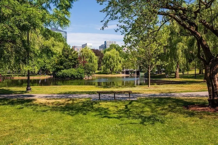 4-5 Arlington Street #PH, Boston, MA 02116 - #3