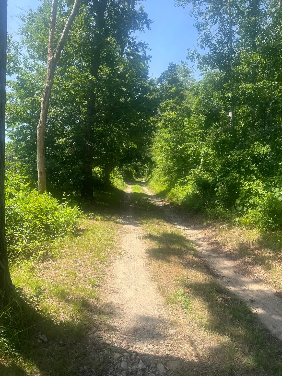 11 Freeman Lane, Sagamore, MA 02561 - #1