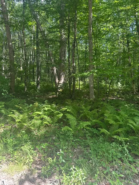 Parcel 2 Ayres, Monson, MA 01057 - #2