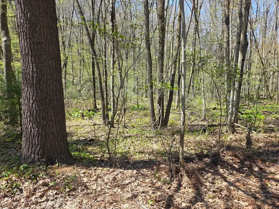 0 Union Road, Holland, MA 01521 - #2