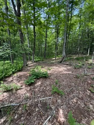 00 Cyrus Stage Rd, Rowe, MA 01367 - #3