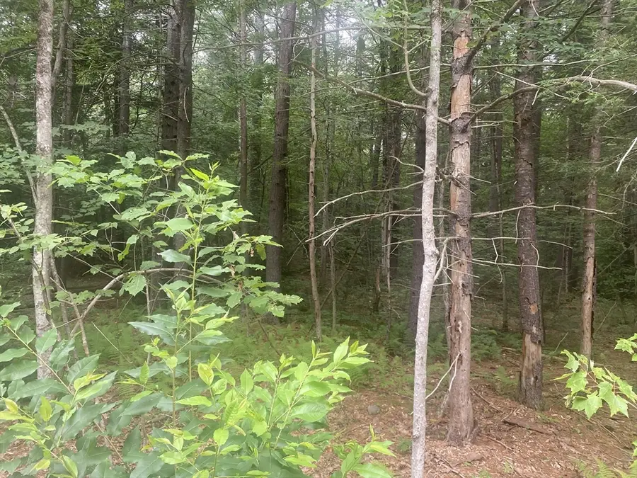 132 Crooked Ledge Rd, Southampton, MA 01073 - #2
