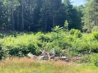 Lot 83 Segur Lane, Belchertown, MA 01007 - #1