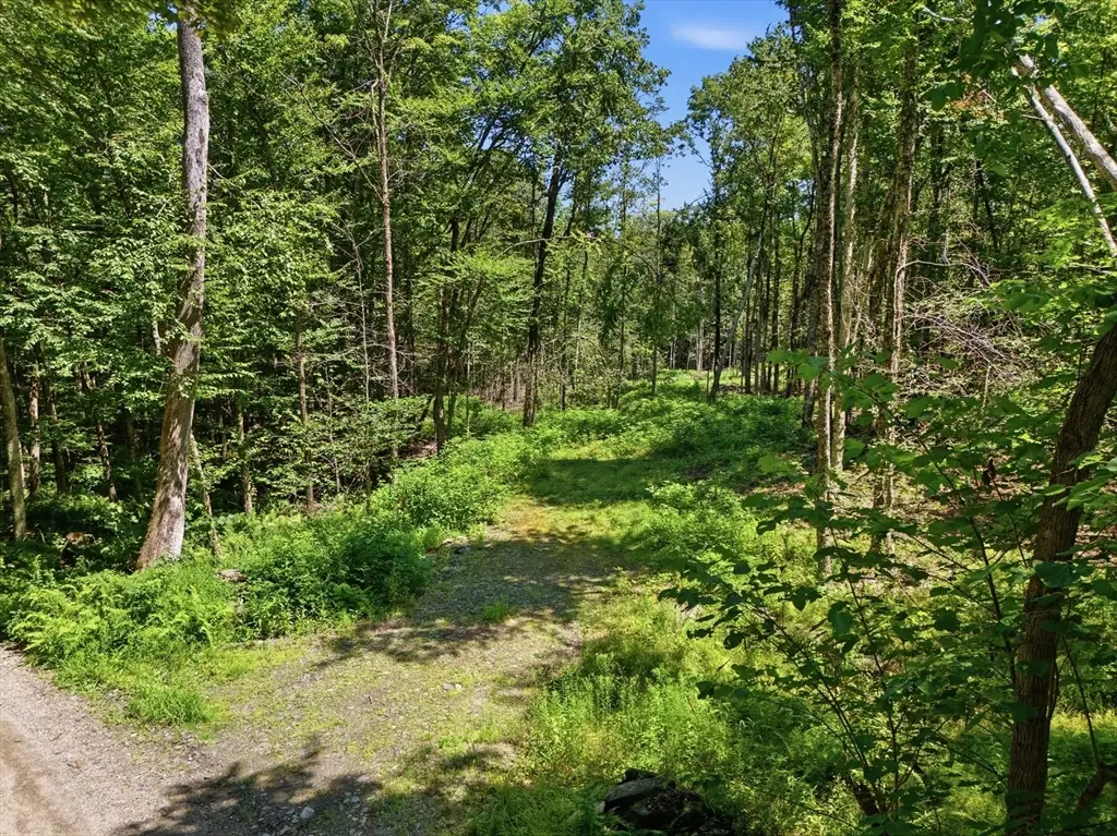 Lot 00 Thayer Hill Road, Worthington, MA 01098 - #1