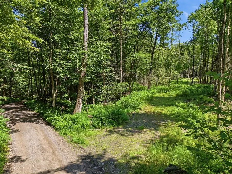 Lot 00 Thayer Hill Road, Worthington, MA 01098 - #2