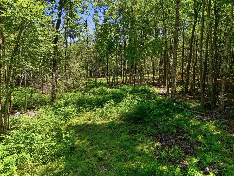 Lot 00 Thayer Hill Road, Worthington, MA 01098 - #3