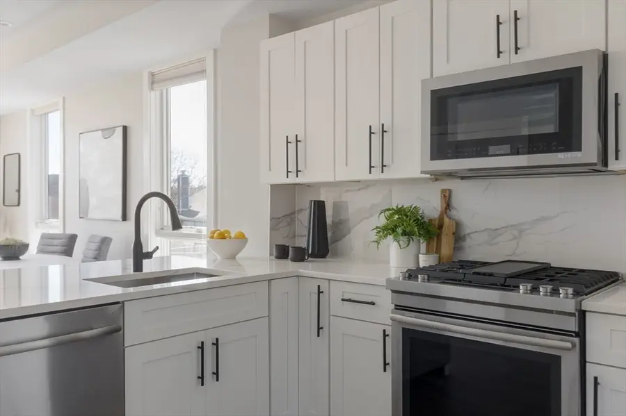 17 Chestnut #3, Boston, MA 02130 - #3