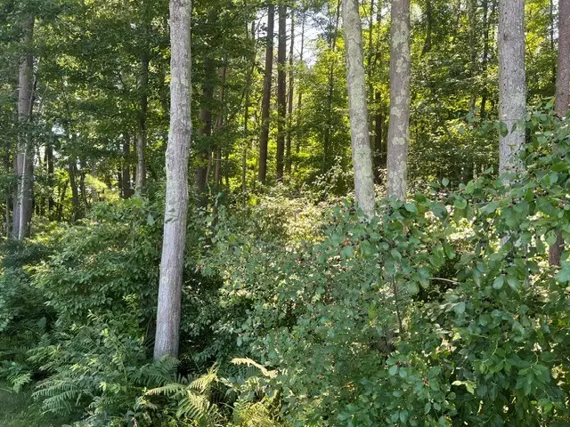 33 Coburn Rd, Windham, NH 03087 - #1