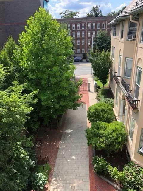 1619 Massachusetts Ave #36, Cambridge, MA 02138