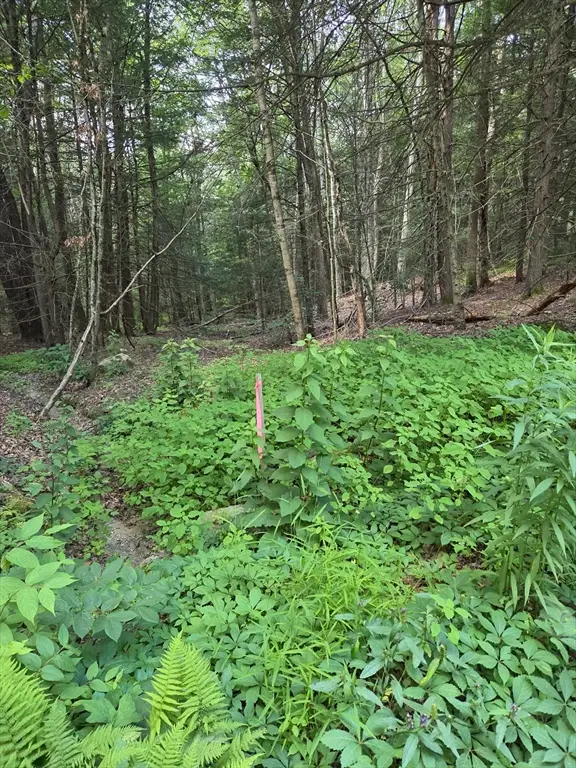 Lot 1 Sampson Road, Huntington, MA 01050 - #2