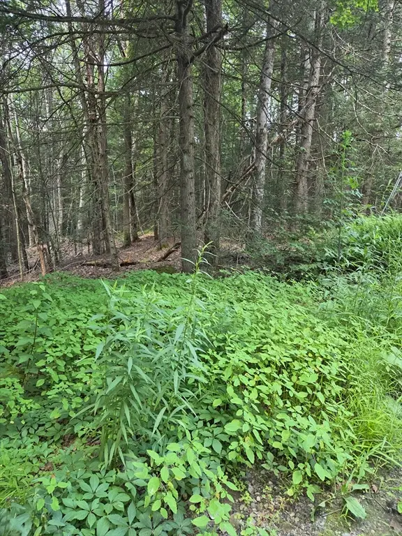 Lot 1 Sampson Road, Huntington, MA 01050 - #3