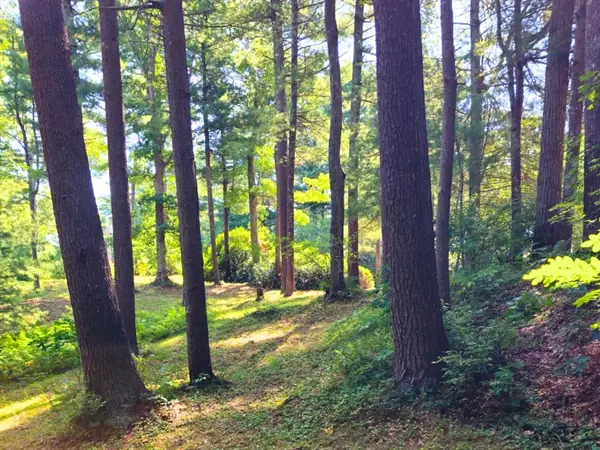 0 Nel Bonney Road, Plympton, MA 02367