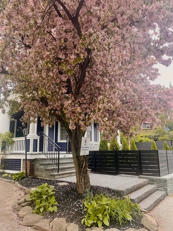 38 Fuller Street, Brookline, MA 02446 - #3
