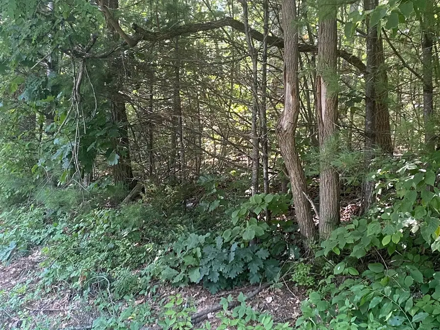 LT 73 73.1 Old Gilbertville Rd, Ware, MA 01082 - #3