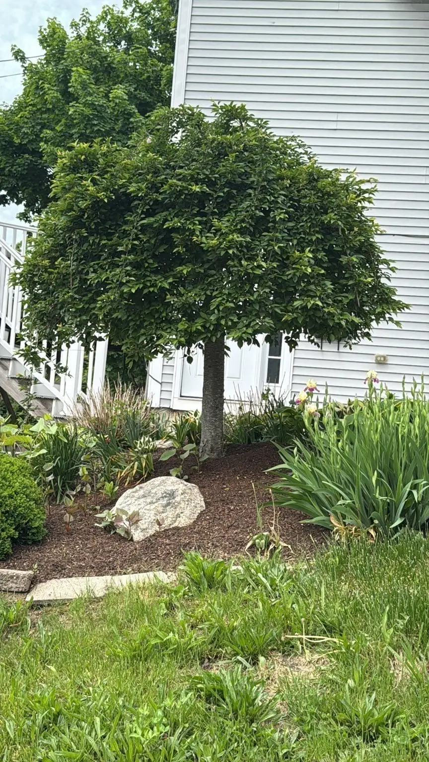 1 Clegg St, Worcester, MA 01603 - #3