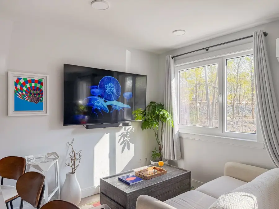 64 Alpine St #103, Boston, MA 02119 - #3