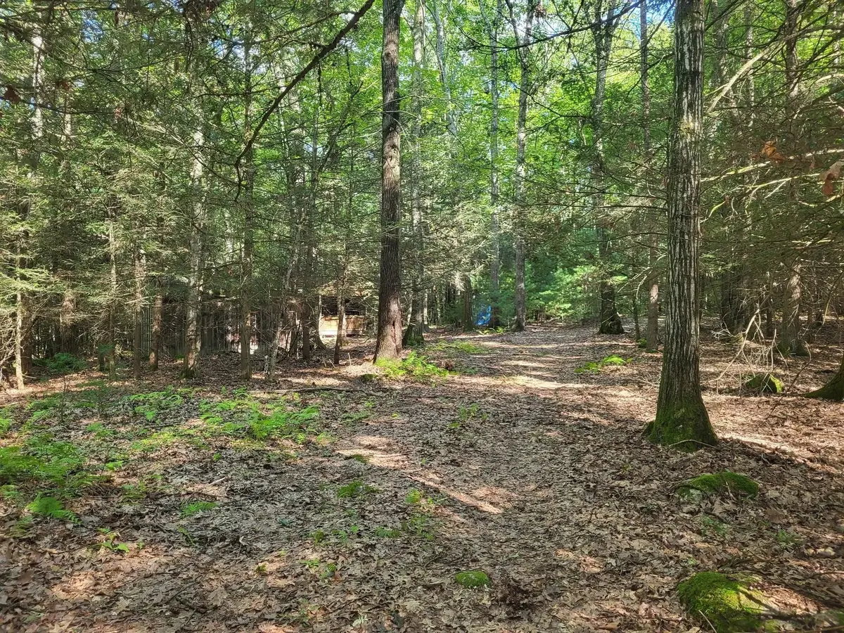 XO Pole Bridge Rd, Woodstock, CT 06281 - #1
