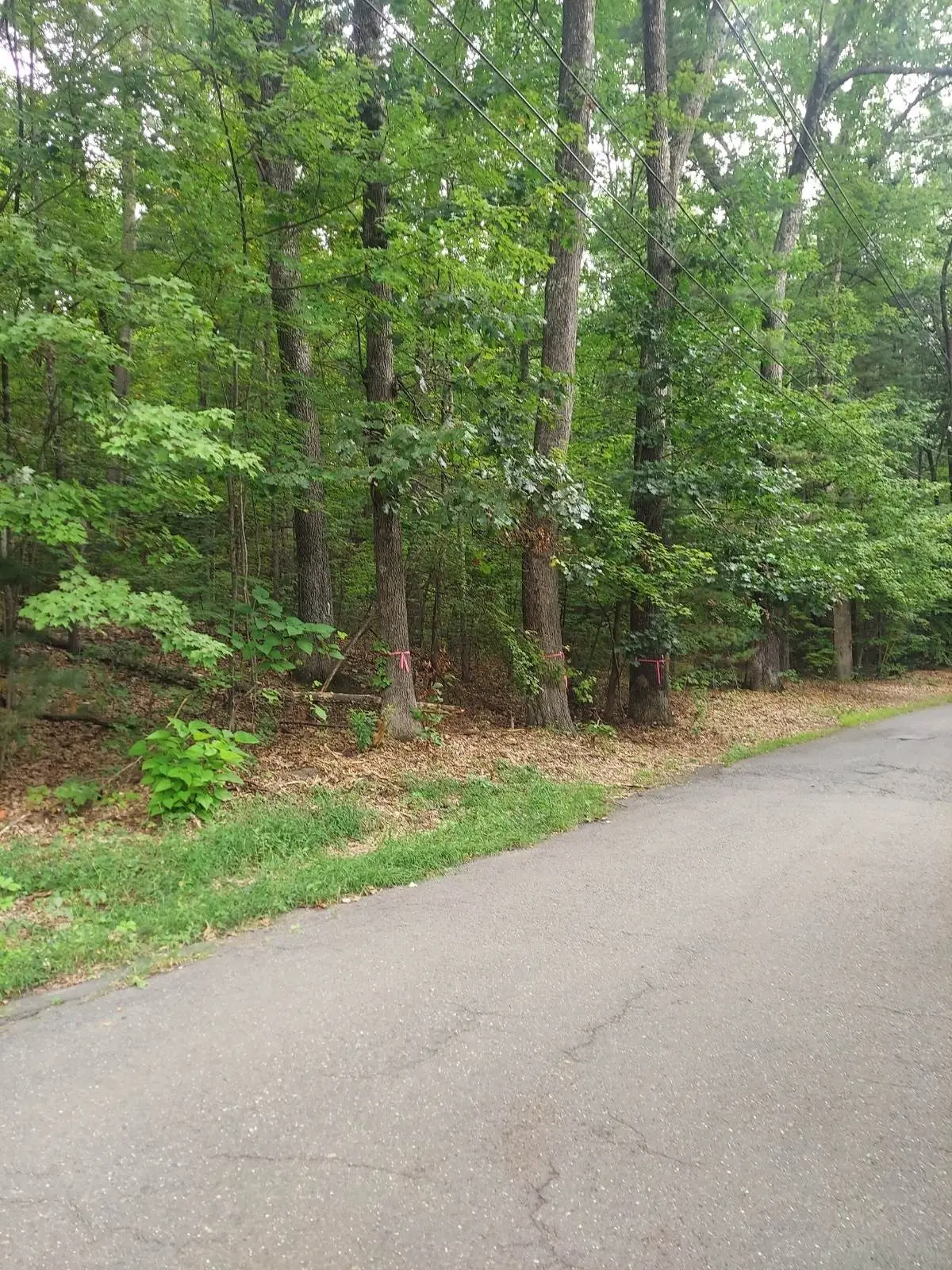 1005 Park Hill Road, Northampton, MA 01062 - #1