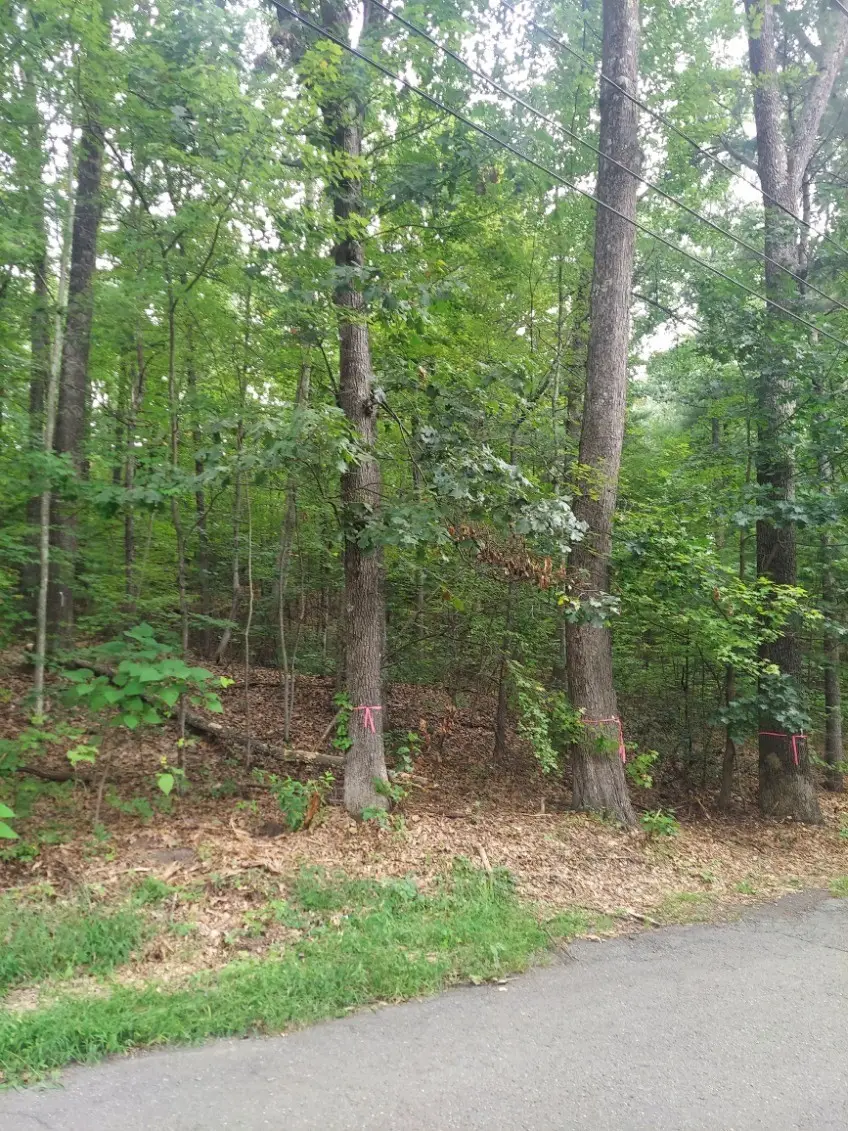 1005 Park Hill Road, Northampton, MA 01062 - #3