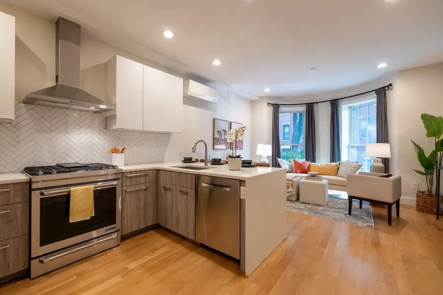 55 E Springfield St #2, Boston, MA 02118 - #2