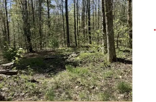 0 Burt Hill Rd Parcel 19, Tolland, MA 01034 - #2