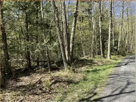 0 Clark Rd Parcel 13, Tolland, MA 01034 - #2