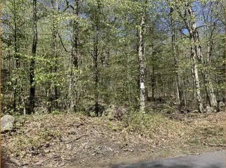 0 New Boston Rd Parcel 1, Tolland, MA 01034 - #2