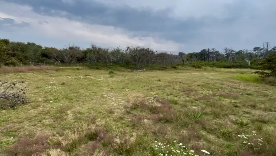 245 Nauset Light Beach Rd, Eastham, MA 02642 - #3