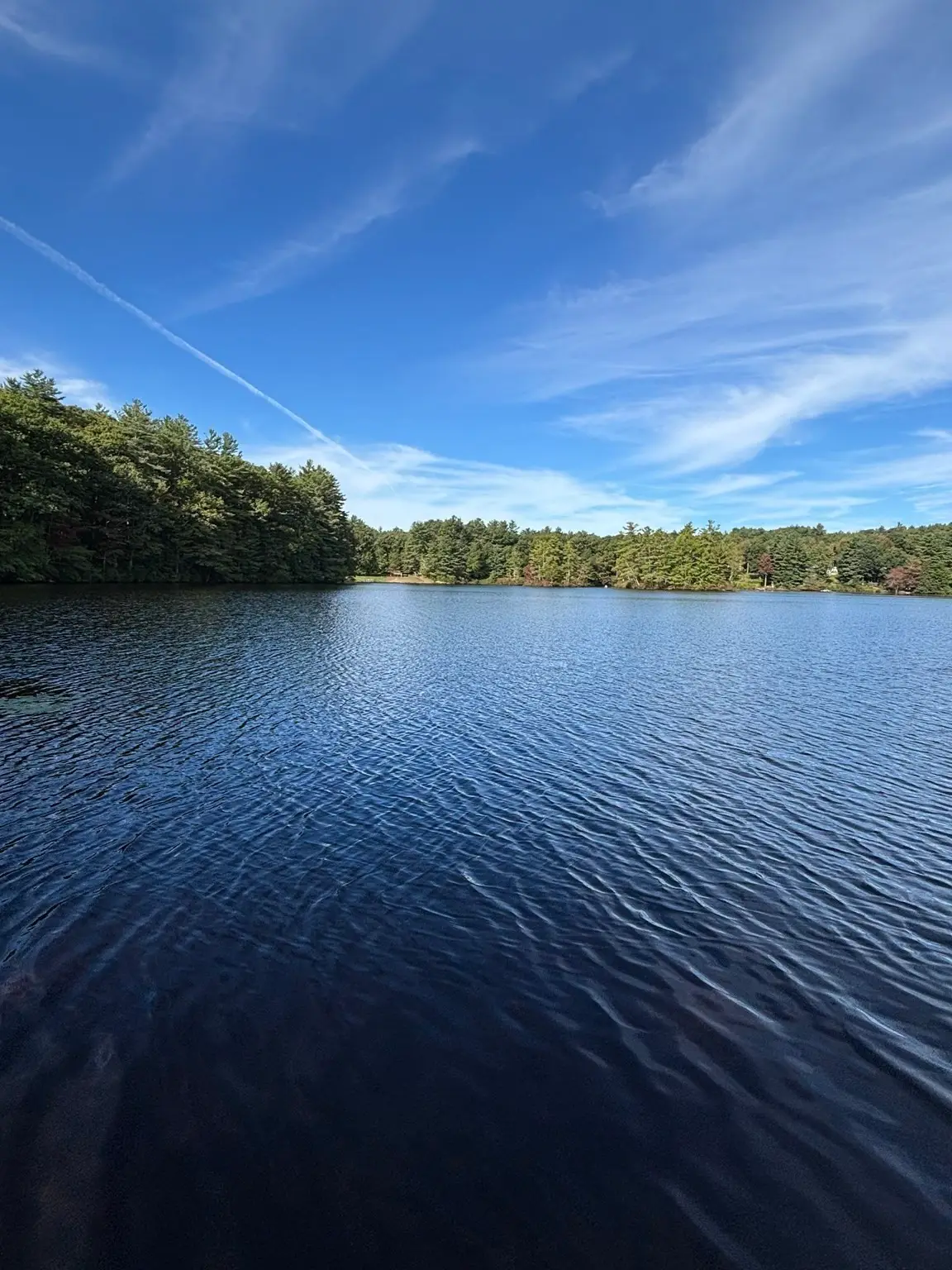 34 Shore Drive, Spencer, MA 01562 - #1