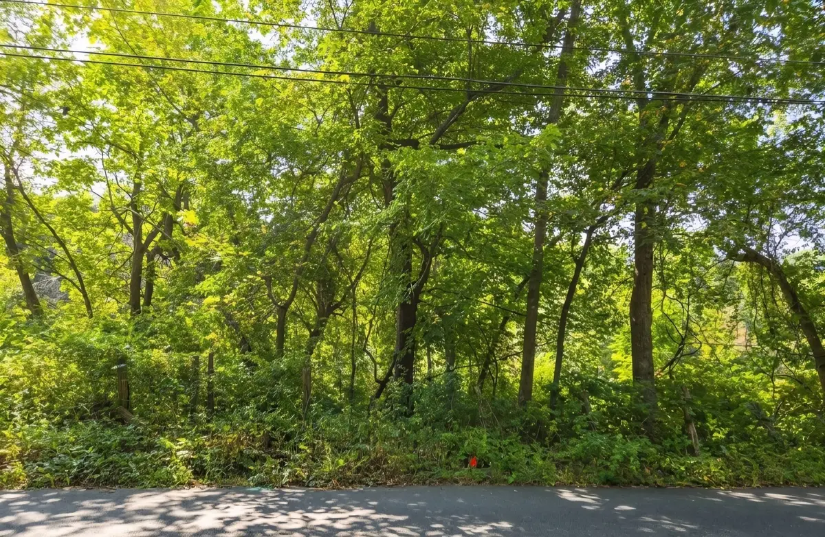 Lot B Pochassic Road, Westfield, MA 01085 - #1