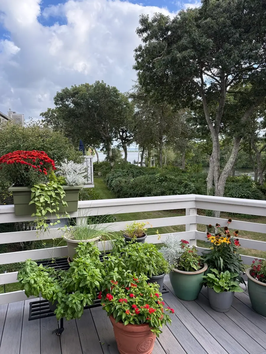 34 Landfall #34, Falmouth, MA 02540 - #2