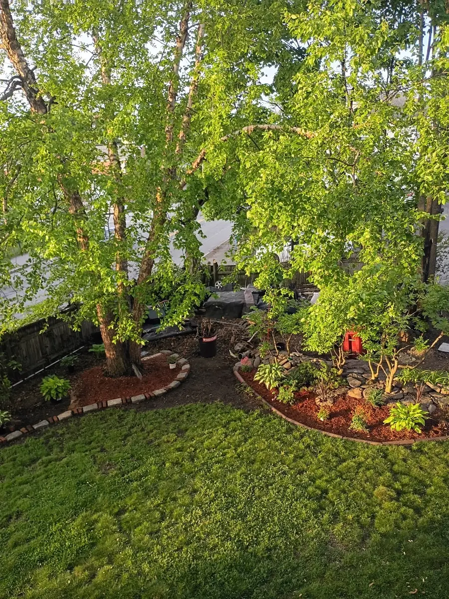559 Chelmsford St, Lowell, MA 01851 - #3