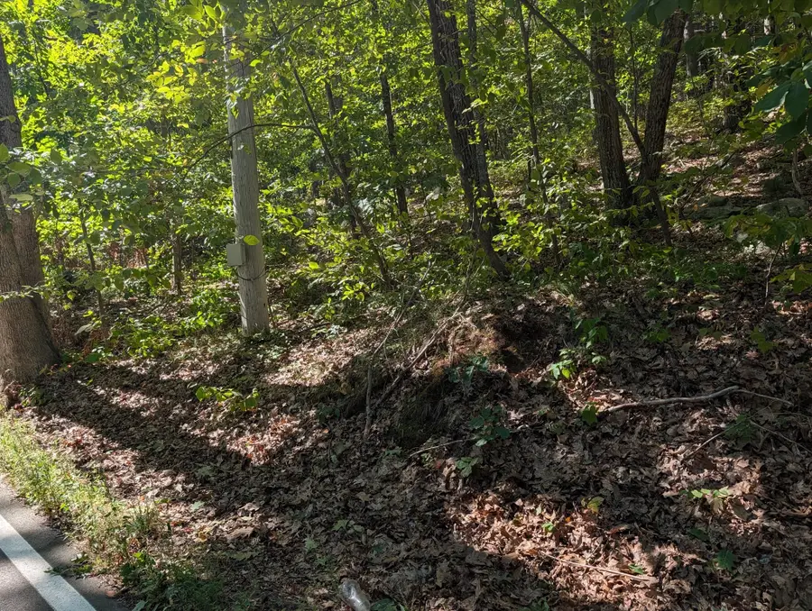 Lot 3 Pine Street, Dover, MA 02030 - #3