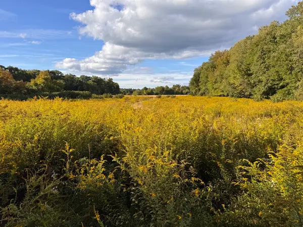 30V-Lot 1 Red Bridge Rd, Wilbraham, MA 01095