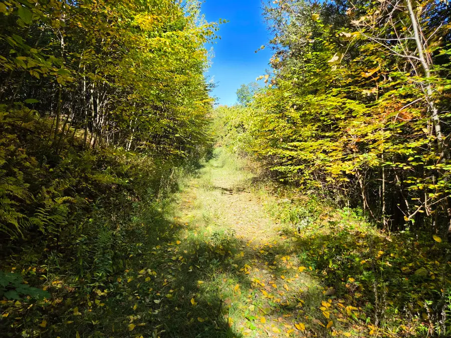 Lot 5A South Rd, Hampden, MA 01036 - #3