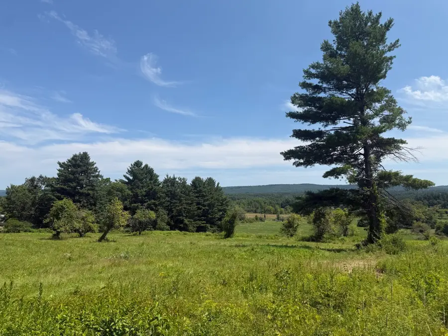 1030R South East St., Amherst, MA 01002 - #2