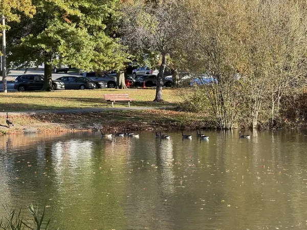 408 Broadway #201, Lynn, MA 01904