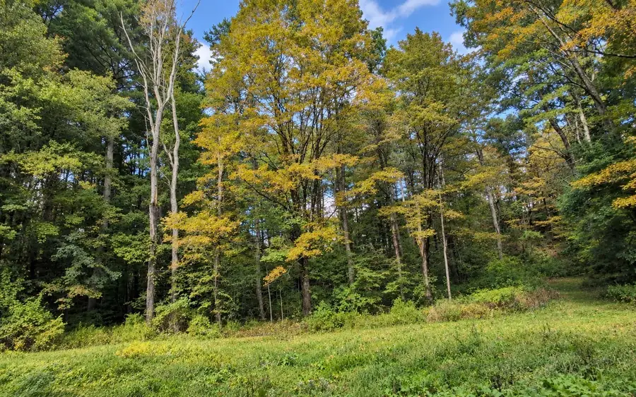 Lot 3 Ma-41, Richmond, MA 01254 - #2